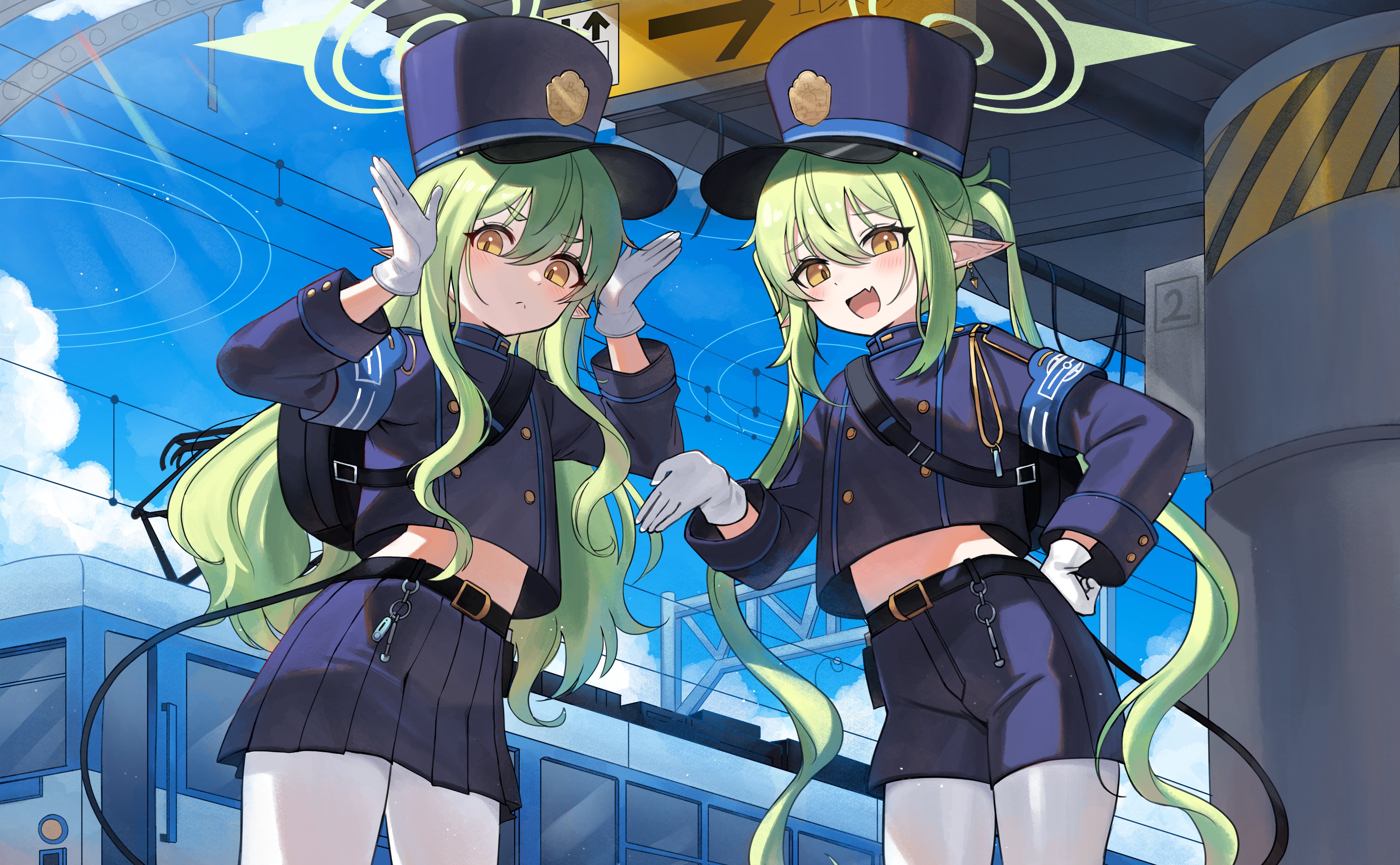 Tok9 train cytoid