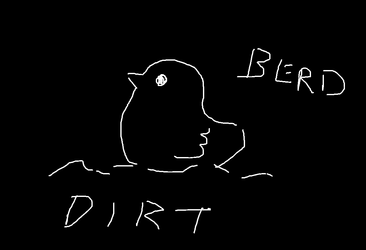 Dirt Bird Meaning