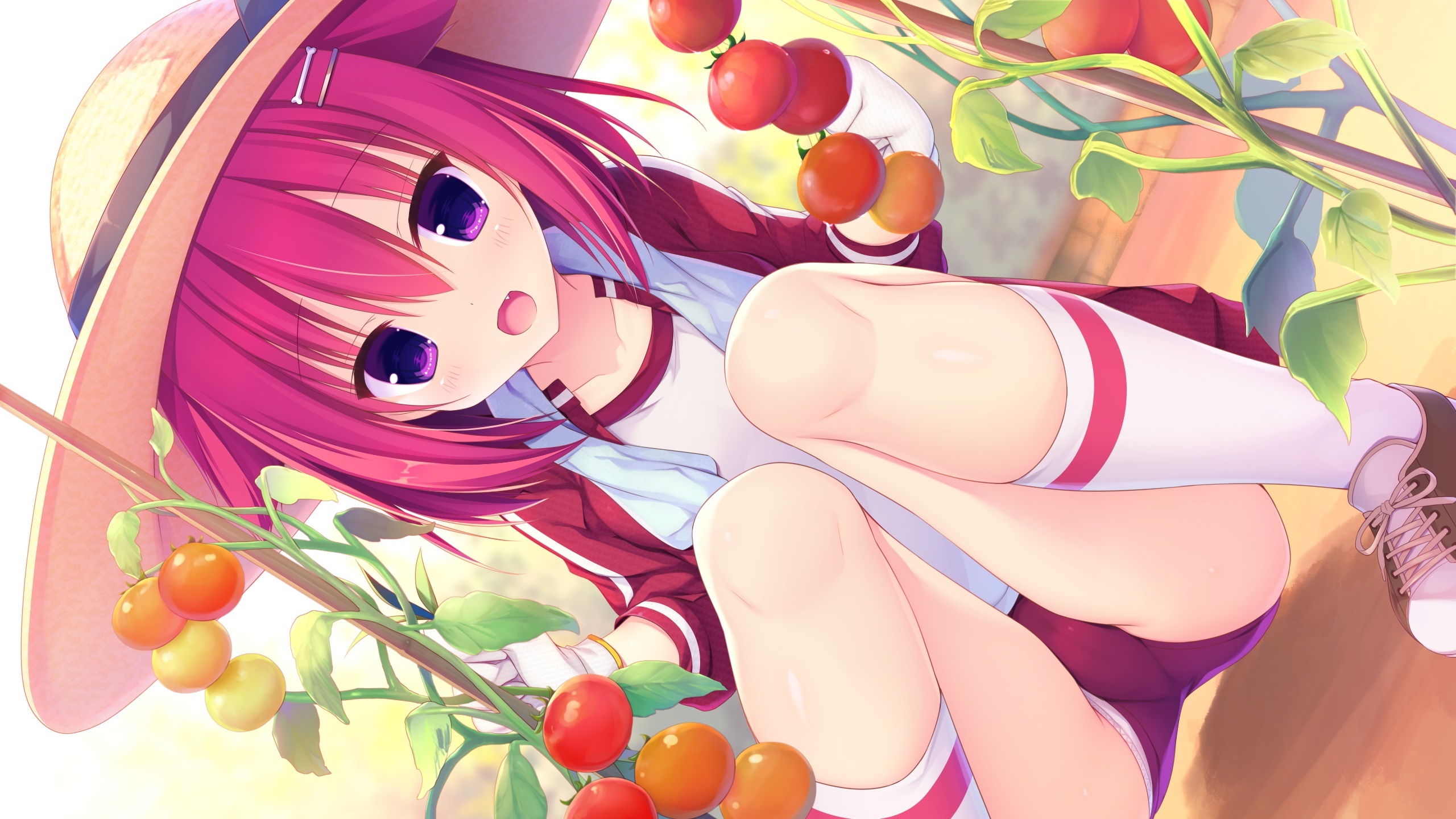 Love Cube Hentai