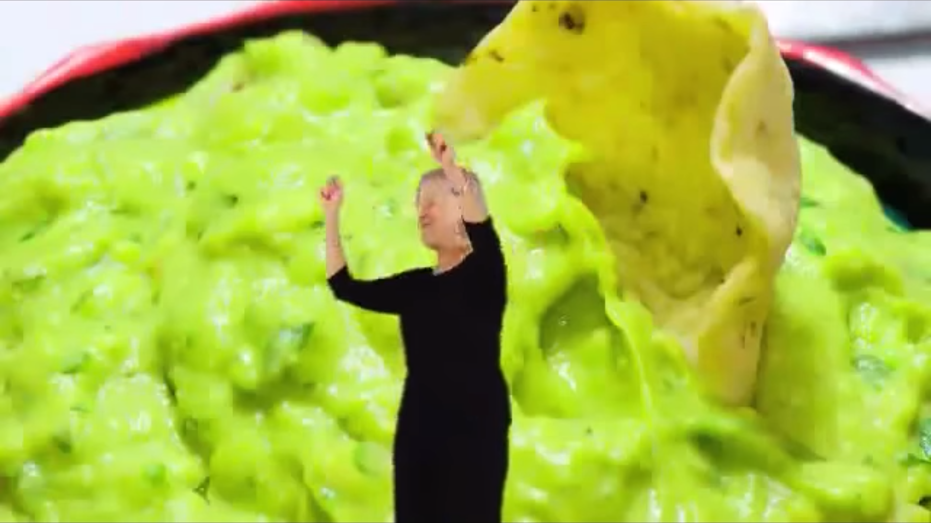The Guacamole Song Cytoid